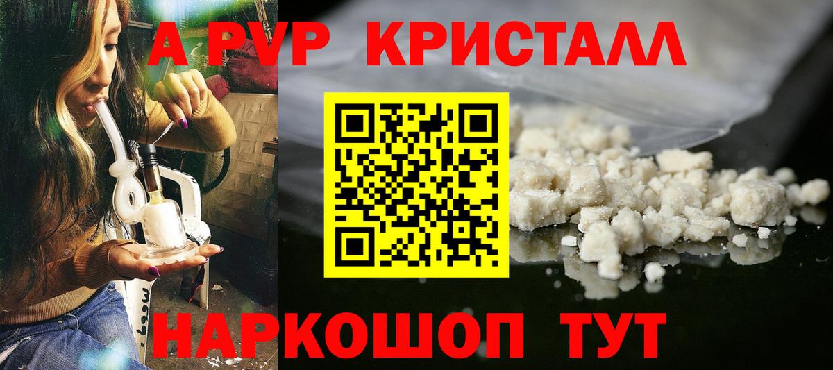 Alfa_PVP СК КРИС Горно-Алтайск