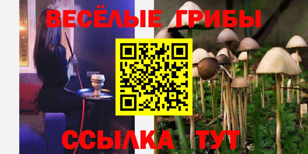 Галлюциногенные грибы GOLDEN TEACHER  Вход с VPN  Галлюциногенные грибы Psilocybine cubensis  Горно-Алтайск 